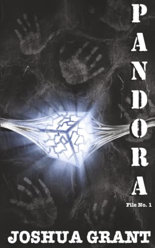 Pandora view 2