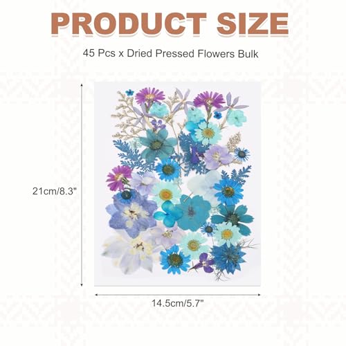 Dried Pressed Flower Leaves Bulk 45 Piezas Azul miniatura 2