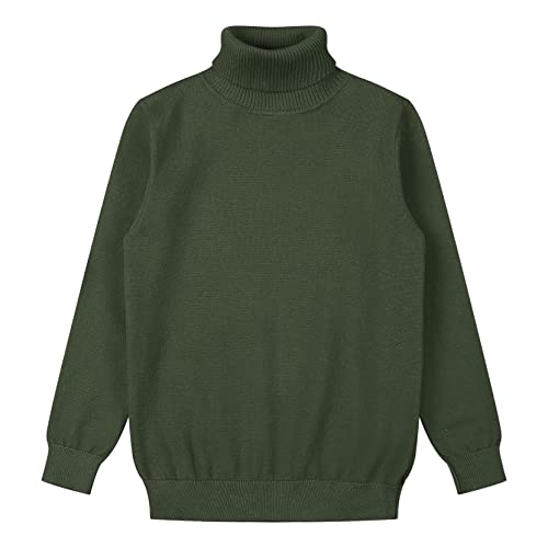 Loyan Kids Boys Turtleneck Sweater Long Sleeve Knit Pullover Sweatshirt Winter Warm Tops School Uniform3