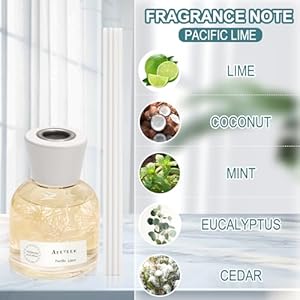 Reed diffuser set 100ml lime lemon and coconut essential oil fruit and floral scent home fragrance with 6pcs fiber sticks aromatherapy scented gifts for bathroom office shelf decor  urban country home decor