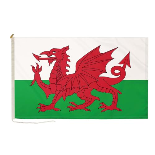 Petit drapeau Pays de Galles 50x30 cm DuraFlag finition supérieure