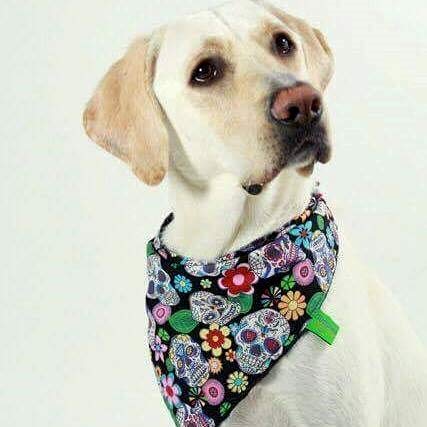 Dimples Bandana pour Chien - Crânes mexicains Noirs-Foulard pour Petits Chiens et Chats de Taille Moyenne et Grande - Bandana Chiot à la Main - Cadeau d'anniversaire pour propriétaire de Chien 40cm