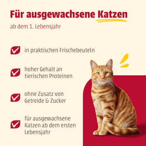 animonda Carny Katzen Nassfutter Kitten Baby-Paté (12 x 85g), Kitten getreidefreies Katzennassfutter ohne Zucker für wachsende Kätzchen bis 1 Jahr