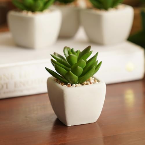 PURE HOME + LIVING Green Artificial Cactus Succulent Plant in Cement Pot (B0CVVX76V4) Amazon Price History, Amazon Price Tracker