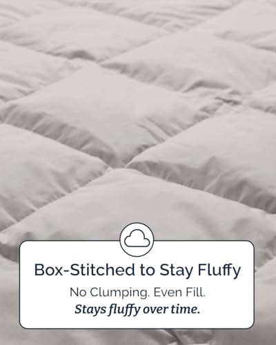 Image of Twin Size, Black & Light Grey Alternative Down Comforter - Warm, Lightweight & Breathable Hotel Quality Bedding Set for Men, Women, Kids & Teens - All Season Cooling Microfiber Duvet Insert Comforter