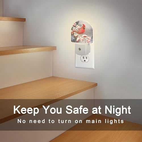 Image of Winter Red Cardinal Bird Night Light for Kids,Christmas Pine Tree Snow Cardinal Night Light Plug in with Dusk to Dawn Sensor,0.5w Energy Saving Nightlight for Hallway Stairway Kitchen Bedroom