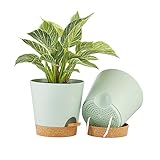 FaithLand 2-Pack 8 Inch Planter Pots for Indoor Outdoor Plants, Self Watering Flower Pots with Deep Reservoir, Green with Terracotta …