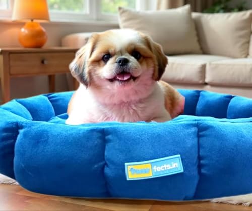 Image of Round Donut Pet Bed for Cats and Puppies Dogs mat, Cozy and Plush, Raised Bedside Support, Both Sides Use Like 2 in One, Washable, Dog Bed, Sizes for Small, Medium, and Large Pets