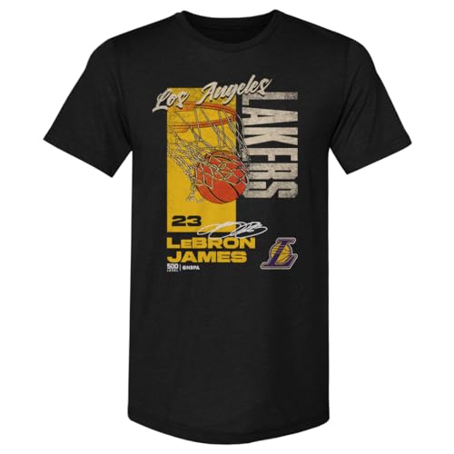 500 LEVEL Lebron James Los Angeles Lakers All Net Men's Premium T-Shirt (Tri Black, X-Large)