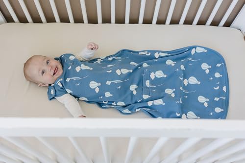Image of Woolino 4 Season Ultimate Baby Sleep Sack, Merino Wool Baby Sleeping Bag, Organic Cotton Outer, Adjustable 2-24 Months Size Fits Infants & Toddlers - Hot Air Balloon