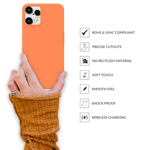 Image of SPRIG Nothing 3A Lite Back Case Cover - Parent