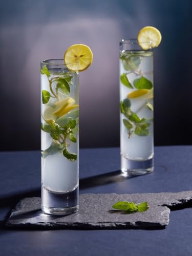 Image of Modern Slim Highball Glass Set for Set of 6 275Ml