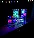 Light up LED Ice Cubes Water-Activated Flashing Multicolored 12 Pack
