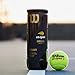 Wilson Us Open Extra Duty Balls 24 Can