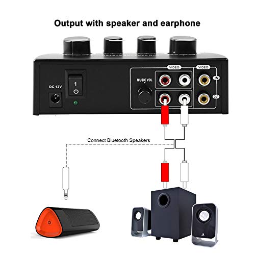 Image of HAYDEN Portable Karaoke Sound Echo Mixer System Machine Set Compatible with 2 Microphone for karoake TV PC Amplifier Speaker Smartphone mini Music Setup Enjoy Singing.