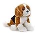 National Geographic Huski 770684 - Perro de Peluche (26 cm), Color Blanco y Gris