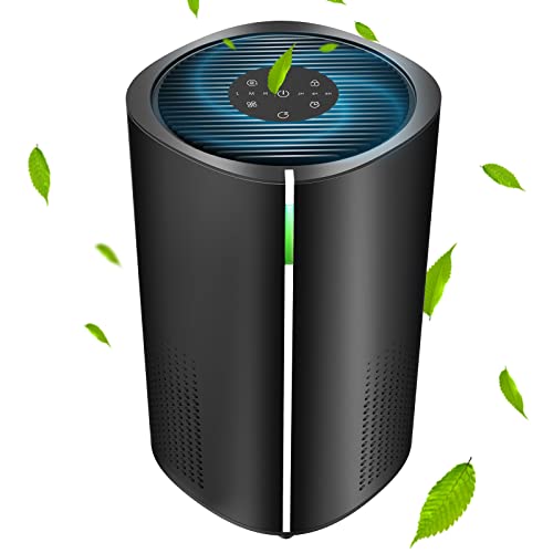 9 Air Purifier Sales For This Labor Day 2024 September Deals on HEPA