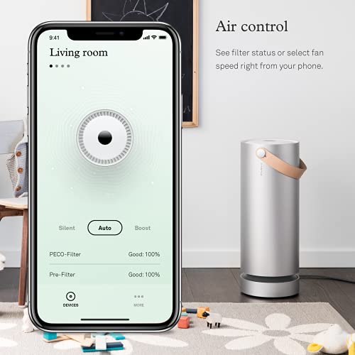 Molekule Air Large Room Air Purifier With Peco Technology For Smoke, Allergens, Pollutants, Viruses, Bacteria, And Mold, Silver #TOP4