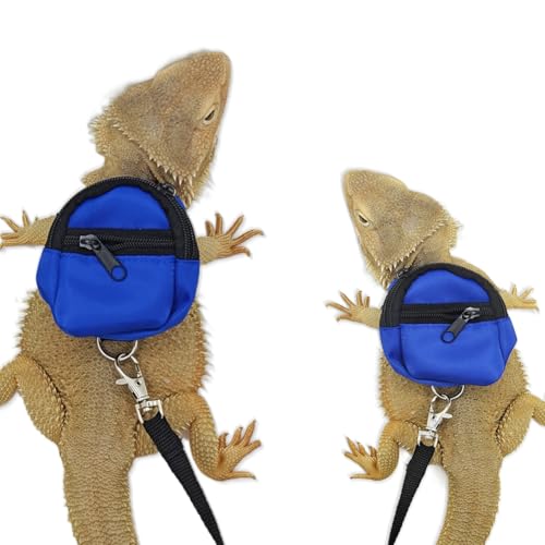 Image of Bearded Dragons Harness Leashes Set Cute Backpack Back to School Design for Small Pets Reptile Lizard Crested Gecko Chameleon Rat Hamster Squrriel Ferret Photo Shoot (Blue)