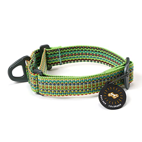 OllyDog Rescue Martingale Collar for Dogs, Eco-repurpose Lightweight Training Collar for Large, Medium and Small Dogs (Small, Prism Green)