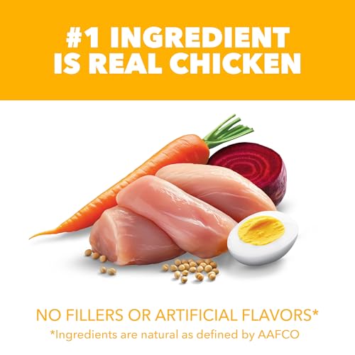 IAMS Proactive Health Dry Puppy Food Chicken, 5 lb. Bag