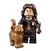 LEGO Harry Potter Series - Hermione Granger - 71022