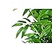 vidaXL Árbol de Bambú Artificial Macetero 120 cm Verde Maceta Planta Plástico