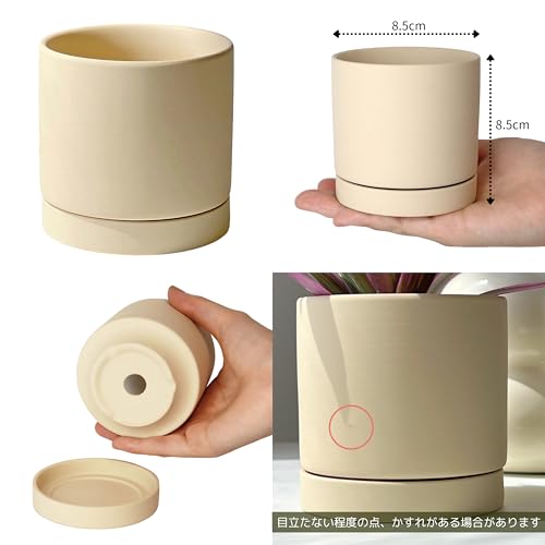 Amazon.co.jp: inakougei: ムラサキオモト