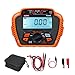 Insulation Tester Digital Megohmmeter MAX 200G Ω Measuring Low Absorption Ratio AC Voltage Measurement T -61 Series Industrial Test Instrument (T6110)
