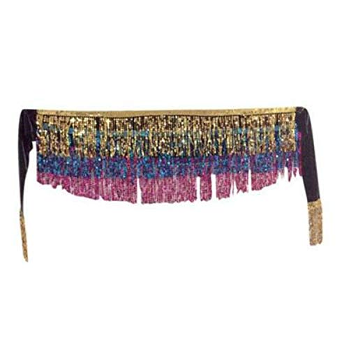 Image of VRITRAZ Women's Chiffon Belly Dance Hip Scarf Waistband Belt Skirt Mixed Colors Beads and Golded Coins