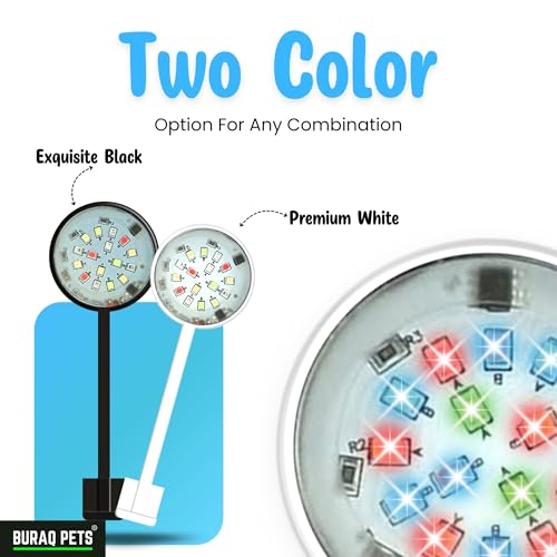 Image of BURAQ N6 Multicolor Aquarium LED Light 2.5W | WRGB Spectrum | 3 Lighting Modes | 360 Flexible Arm | Clip-On Lamp for Nano Fish Tanks & Bowls