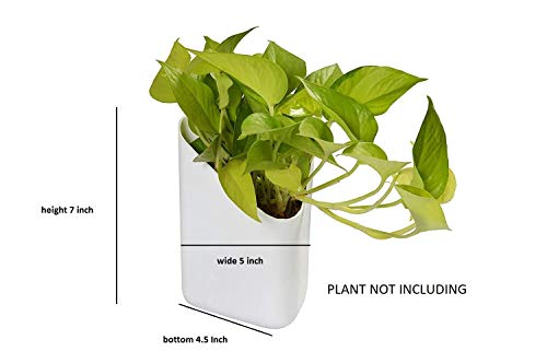 'Trendy Home' Prism Shape wall mount planter for Indoor/Outdoor | planters for Garden/Balcony vertical gardening Decor | Without Plant (color-White, set of 8 Pots)