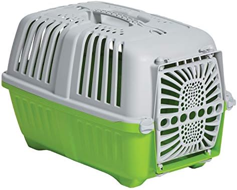 MidWest Homes for Pets Spree Travel Pet Carrier, Green | Hard-Sided Pet Kennel Ideal for Toy Dog Breeds, Small Cats & Small Animals | Dog Carrier Measures 19.1L x 12.5 W x 13H - Inches
