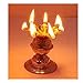 Stainless Steel Diyas for Pooja Deepak for Puja Aarti Oil Lamp Pooja Articles Home Decor Item Showpieces House Warming Decoration Aarti Puja at Hindu Temple Mandir Religious Diwali Gifts