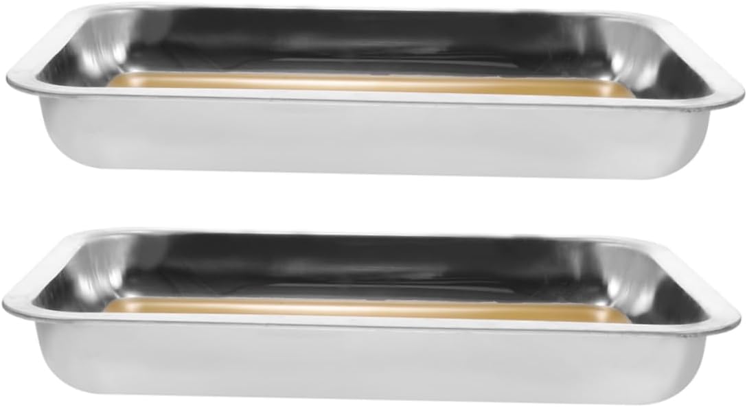 Healifty 2pcs Dissection Kit Stainless Steel Wax-Embedded Trays for Educational Dissection Equipment