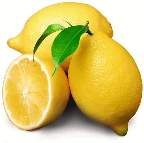 20 Piezas Limón Semillas Fruta Semilla De Lima (Citrus Aurantifolia) Limonero Para Jardín Doméstico Siembra Eficiente En Jardines Al Aire Libre Cover