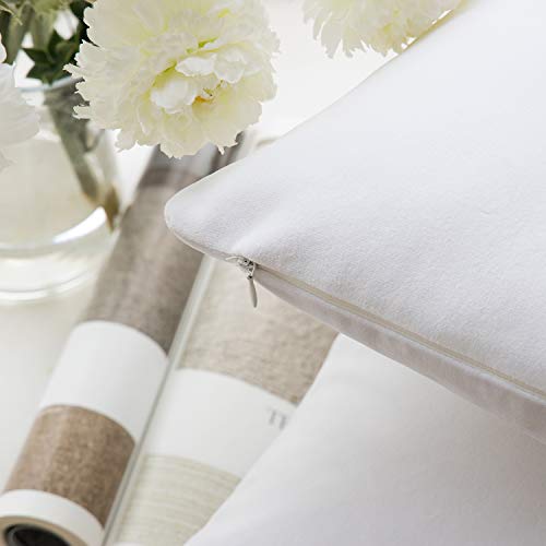 Phantoscope Pack of 2 Velvet Decorative Throw Decorative Pillow Cover Soft Solid Square Cushion Case for Couch White 12 x 20 inches 30 x 50 cm