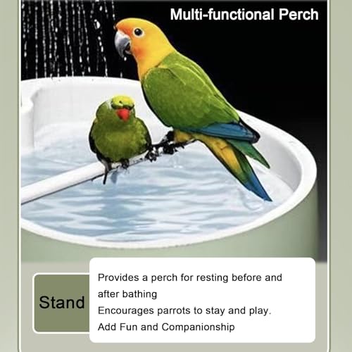 Bain pour perruche automatique USB : nettoyez les plumes sales des oiseaux de cage - 6