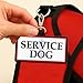 WORKINGSERVICEDOG.COM Service Dog ID Patch Tag - Clips to Vest, Harness, Collar, Leash, or Carrier - Includes 5 Law Handout Cards