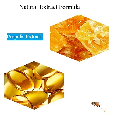 Wfwj 2Pcs Bee Balm Lip Balm Honey Pot,Honey Propolis Lip Mask Moisturizing Moisture Nourishing Dry & Chapped Lips,Lip Exfoliating Bee Balm #TOP4