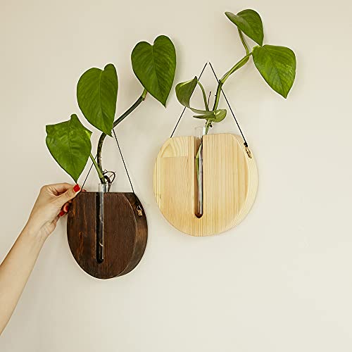 Hanging Planters For Indoor Plants, Succulents Plants Live, Planters For Indoor Plants, Plants Live Houseplants, Self Watering Planters, Plant Hanger Indoor Boho Wall Decor, Farmhouse Wall Decor #TOP3