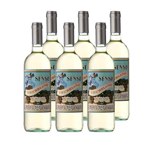 Vin blanc italien Trebbiano Botter SPA Senso IGT Rubicone pour éviter les fautes d'accord repas
