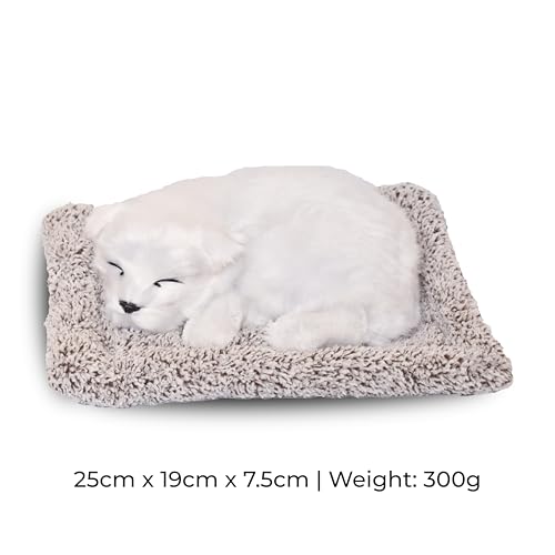 Image of Premium Sleeping Puppy Decor Plush with Mat | Realistic Soft Fur Dog Showpiece for Home, Office & Car Dashboard | Pet Lover Aesthetic Gift (25 x 19 x 7.5 cm) (Snow Dog)