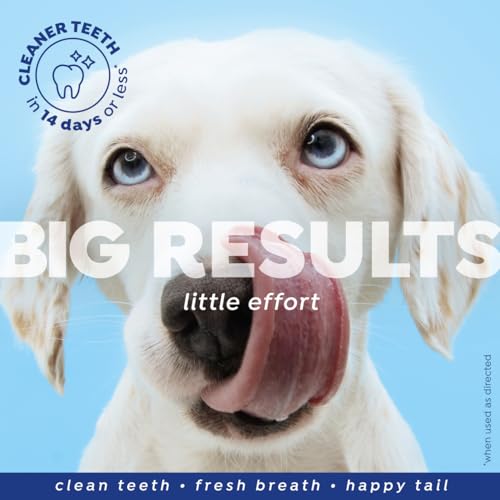 Image of Naturel Promise Fresh Dental Water Additive for Dogs 2-Pack, 18oz Each - Dog Breath Freshener & Teeth Cleaning Solution, Better Value for Daily Use
