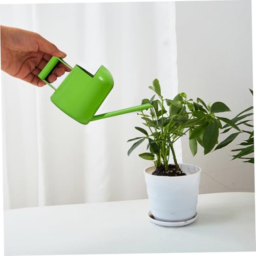 Arrosoir de 300 ml pour arroser proprement sans déborder