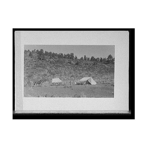 Vintage Civil War Carriage and Pioneer Art