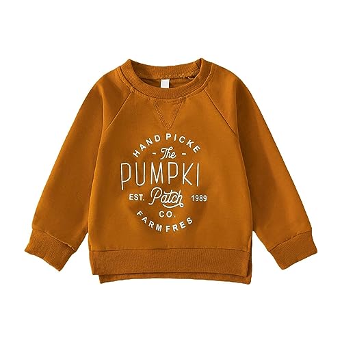 Girl 2024 New Sweater Toddler Girl Hoodie Solid Color Letter Printed Round Neck Long Sleeve Top For 1 To 5 Years