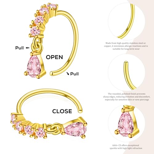 Hoop Nose Rings for Women Nose Piercings 20G Stainless Steel Nose Rings Hoops Heart Butterfly Flower Bow Teardrop Double Nose Hoops Gold Silver Pink Clear CZ Nose Piercing Jewelry 5