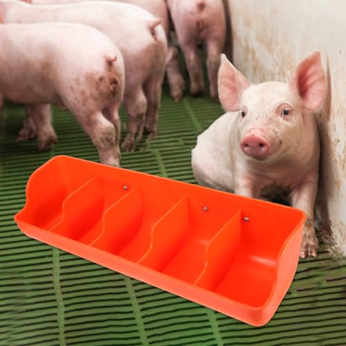 Mangeoire à cochons à compartiments pour éviter le gaspillage