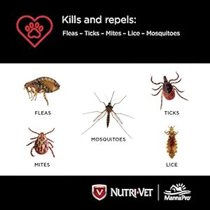 Nutri-Vet Defense Flea & Tick Control for Small Dogs